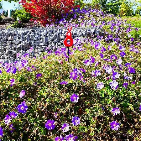 Schanzenstrasse 690 M Ue. M