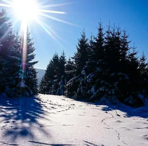 Lejlighed Schanzenstrasse 690 M Ue. M