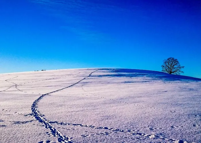 Schanzenstrasse 690 M Ue. M Διαμέρισμα