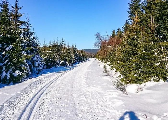 Lejlighed Schanzenstrasse 690 M Ue. M Winterberg